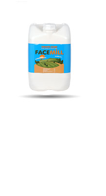 FACEMILL 